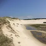 بيت للعطل In Near Forests