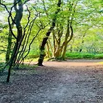 بيت للعطل In Near Forests *