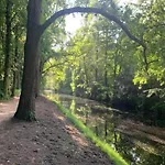 In Near Forests بيرشِن