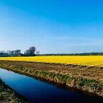 In Near Forests بيت للعطل