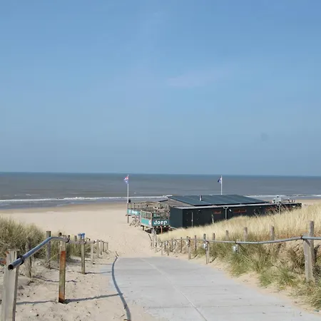 In Near Forests 베르겐