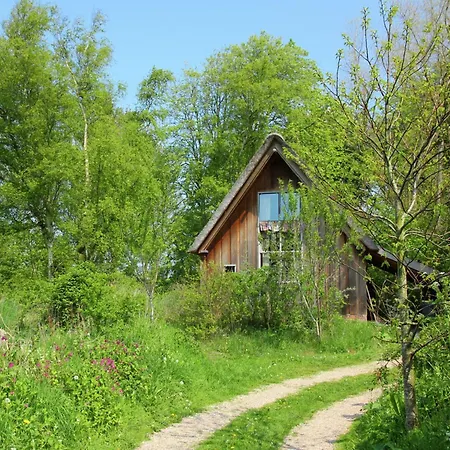 In Near Forests Дом отдыха Берген