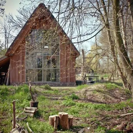 In Near Forests Bergen