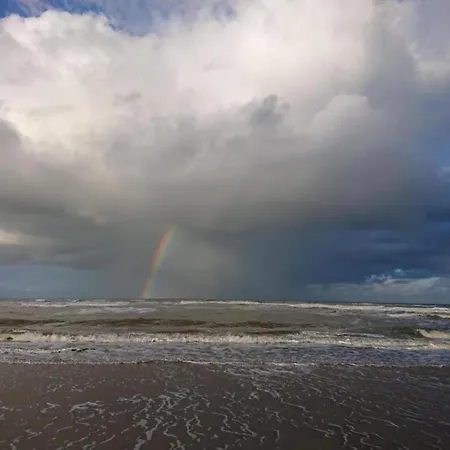 In Near Forests * Bergen