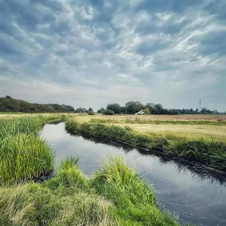 In Near Forests 펜션 베르겐