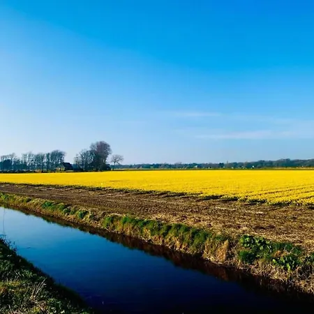 In Near Forests Дом отдыха Берген