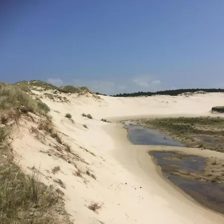 In Near Forests Tatil Evi Bergen