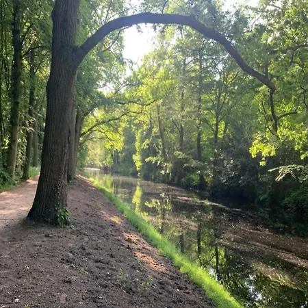 In Near Forests * Берген