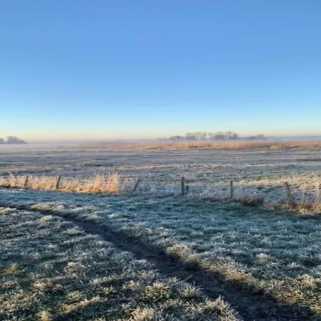 Holiday home In Near Forests