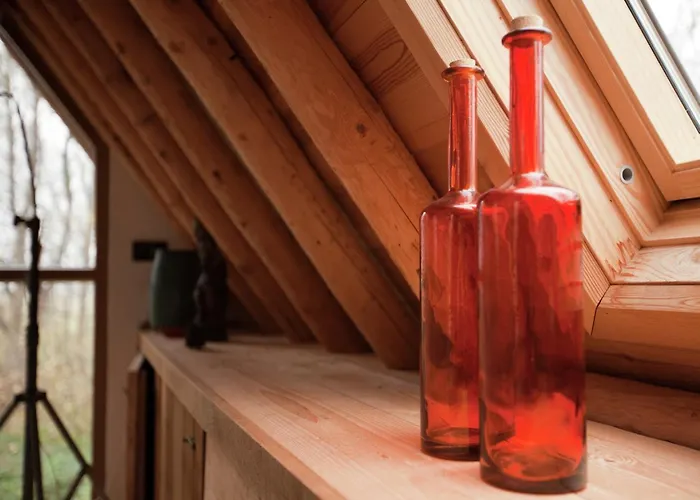 In Near Forests Tatil Evi Bergen