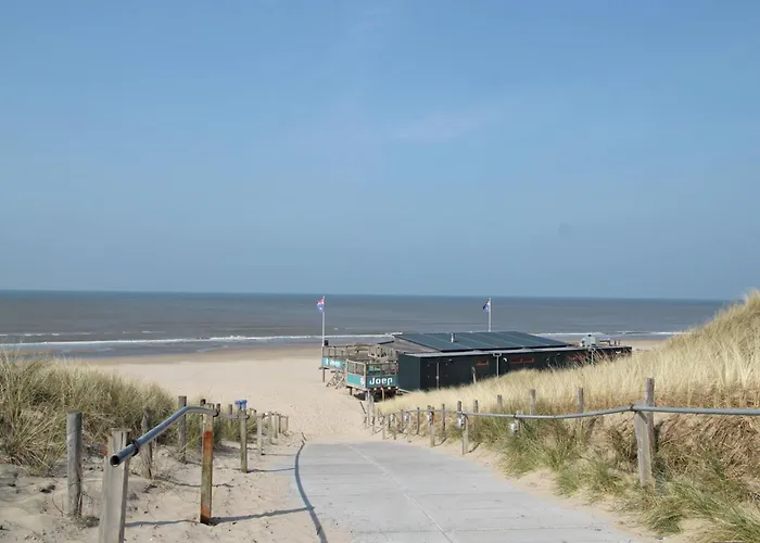 In Near Forests Берген