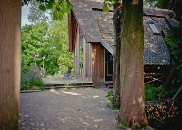 In Near Forests * Bergen