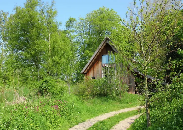 In Near Forests Дом отдыха Берген