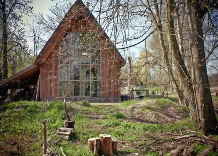 In Near Forests Bergen