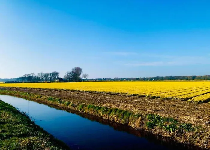 In Near Forests 베르겐