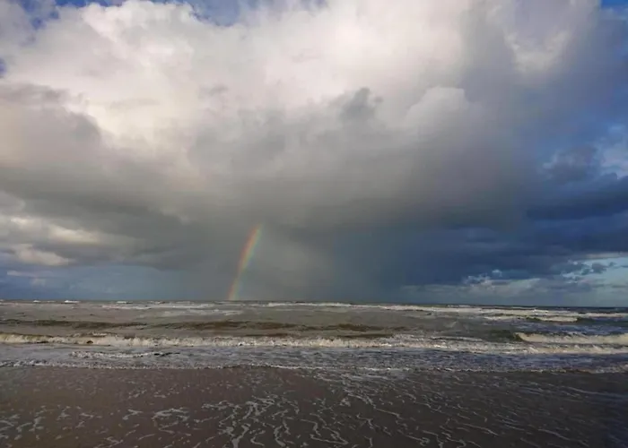 Tatil Evi In Near Forests