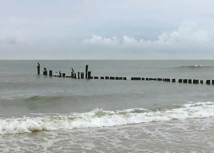 펜션 In Near Forests 베르겐