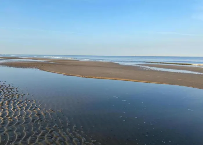 Tatil Evi In Near Forests *