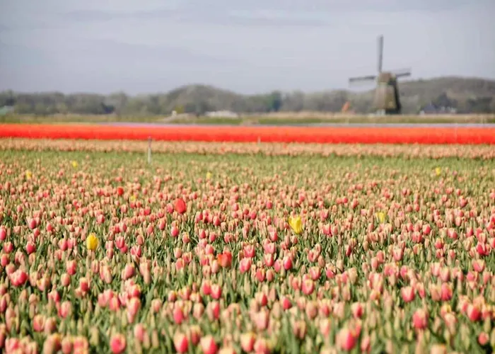 In Near Forests 펜션 베르겐