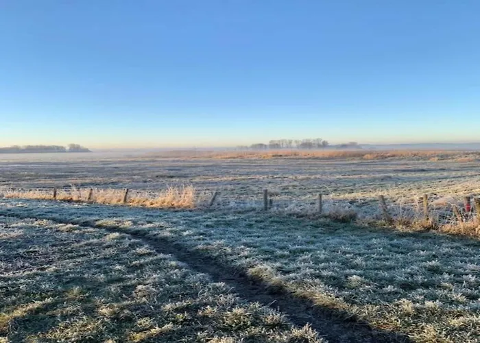 In Near Forests Tatil Evi *