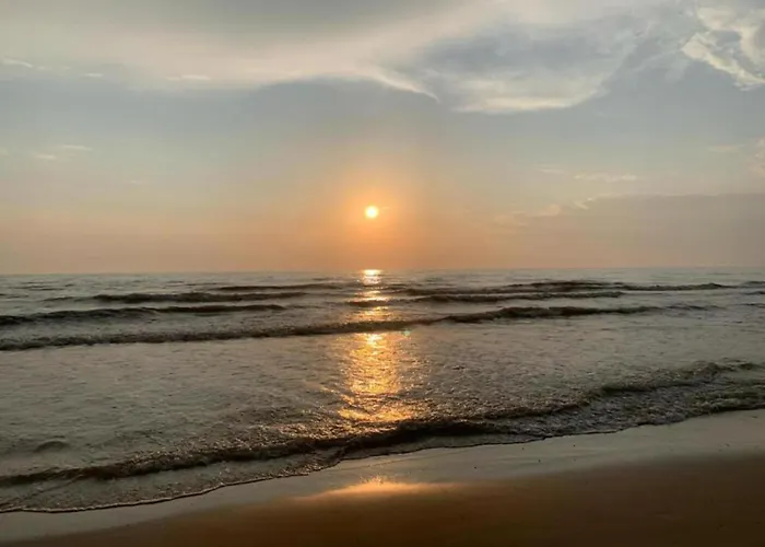 In Near Forests 베르겐