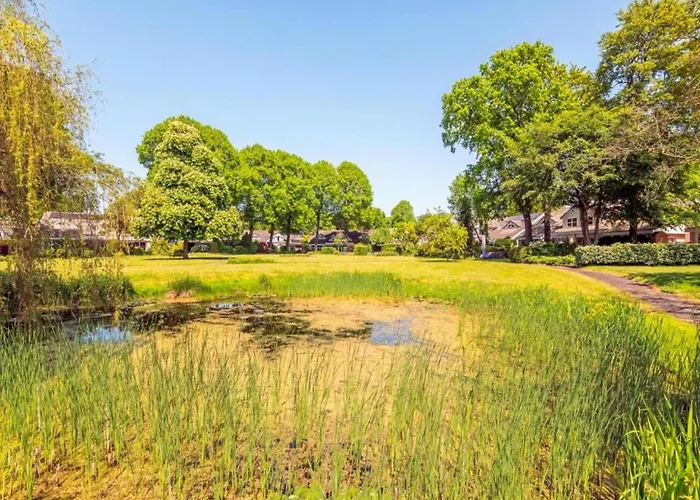 In Near Forests * Bergen