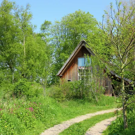 Fairytale Nestled Between Forest