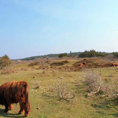 In Near Forests *