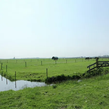 In Near Forests * Bergen