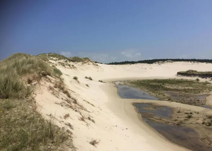 In Near Forests Tatil Evi Bergen